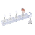 Nail Stand,Magnetic Nail Tip Holder,Fingernail Display Board Practice Board Long Strip Nail Piece Holder Nail Manicure Tool Home Salon Use False Nail Stand