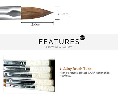 Size 10# Black 100% Kolinsky Sable Acrylic Nail Art Brushes UV Gel Nail Painting Pen Brushes (Size 10)