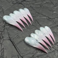 Long Polished Press On Nails Detachable Reusable Fake Nail Eagle Cat Dragon Claw With Gel Glue