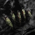 Luxury Fake Nails with 3D Court Art Dragon Claw Inspiration Easy Wear for Adults Size M