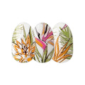 Color Street 'Lost In Paradise' Clear Overlay Design (FDL109) - Nail Polish Strips Retro Resort 2024
