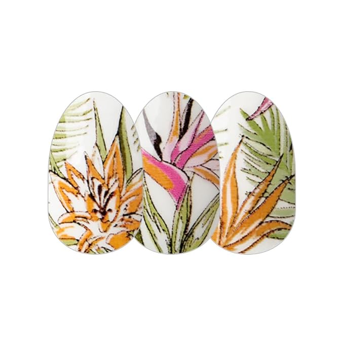 Color Street 'Lost In Paradise' Clear Overlay Design (FDL109) - Nail Polish Strips Retro Resort 2024