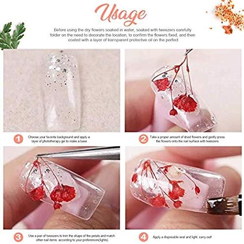 Teenior 24 Colors Nail Dried Flowers, 3D Nail Art Sticker for Tips Manicure Decor Mixed Accessories, Starry Leaves Flower (2 Boxes)