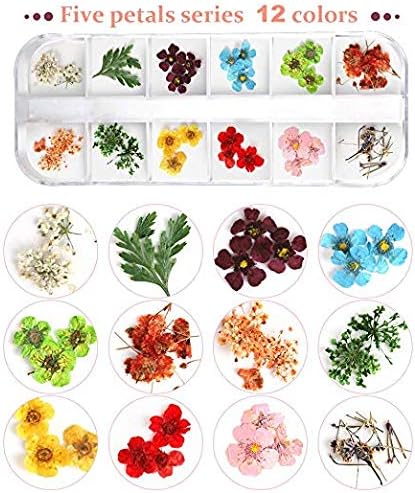 Teenior 24 Colors Nail Dried Flowers, 3D Nail Art Sticker for Tips Manicure Decor Mixed Accessories, Starry Leaves Flower (2 Boxes)