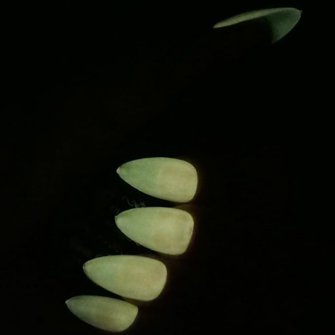 Glow in the dark Clear Gel Polish 10ML semi-clear jelly gel glow lemon-yellow for nail art design (GP66fCLY)
