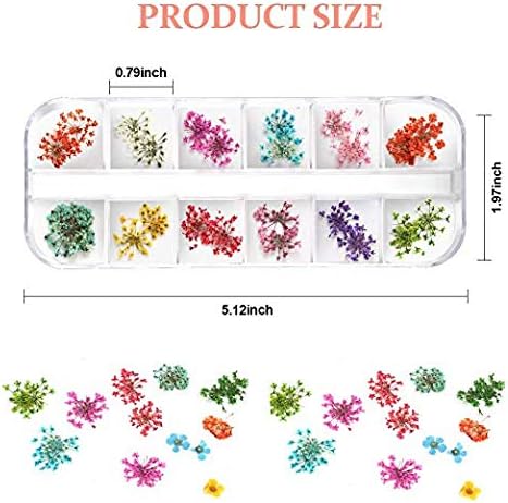 Teenior 24 Colors Nail Dried Flowers, 3D Nail Art Sticker for Tips Manicure Decor Mixed Accessories, Starry Leaves Flower (2 Boxes)