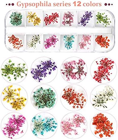 Teenior 24 Colors Nail Dried Flowers, 3D Nail Art Sticker for Tips Manicure Decor Mixed Accessories, Starry Leaves Flower (2 Boxes)