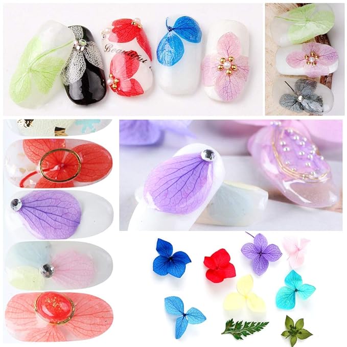 86 Pcs Dried Flowers Nail Art 51 Colors 3D Dry Flowers for Nails 2 Boxes Small Tiny Dried Flowers for Nail Art Little Pressed Real Natural Flower Nail Art Design Decoration Supplies