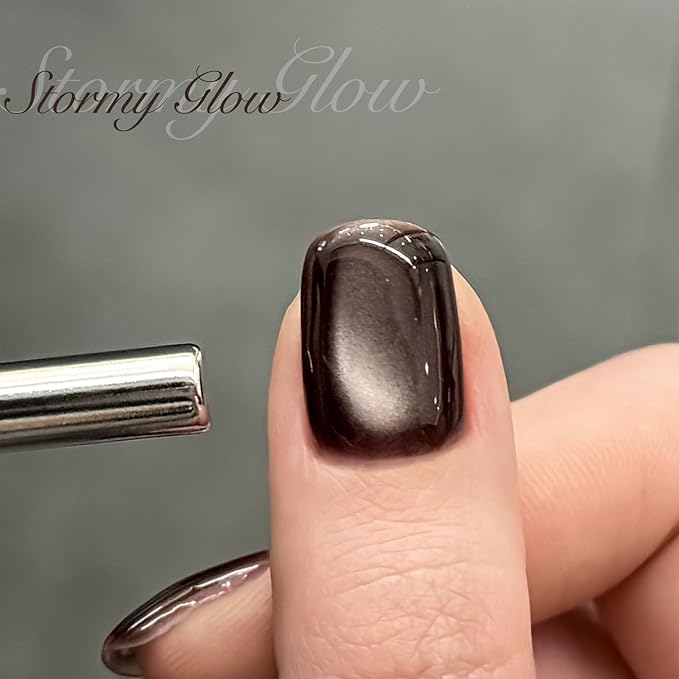 GAOY Jelly Black Cat Eye Gel Nail Polish, 16ml Glitter Holographic Nail Polish with Magnet, Reflective Translucent UV Gel, 3089 Stormy Glow