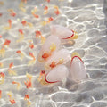2Sheets Goldfish Nail Art Water Decals, Wish Lucky Fishs Design, Orange and Pink Gold Koi Fish Pattern