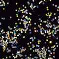 RD-63536 Decor Rhinestone 1000pcs Micro Zircon Strass for Nails Rhinestones Crystal ABColorful Rhinestones for Nail Art Decoration Accessories 2mm 3mm 4mm - (Type: 3mm)