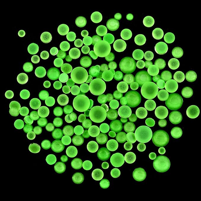 Blinginbox Flatback Glass Rhinestones,Bedazzler Gems 2880pcs Non Hotfix Crystal Rhinestones for Nail Charms Crafts Clothes Tumblers,New Emerald Neon,Mixed SS6-20 of 0.07-0.18in