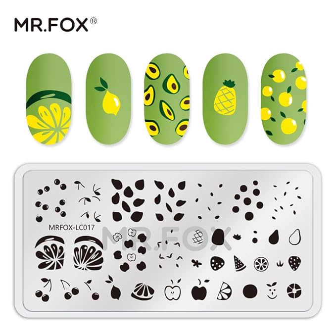 MR.FOX Nail Stamping Plate Set, 5Pcs Nail Art Stamp Kit Templates for Women with Plenty of Images