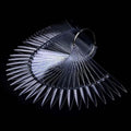 2 Sets 100 Tips Fan Shape Plastic Nail Art Tips Display Polish Board Display Practice Sticks with Metal Split Ring Holder (Clear Color)