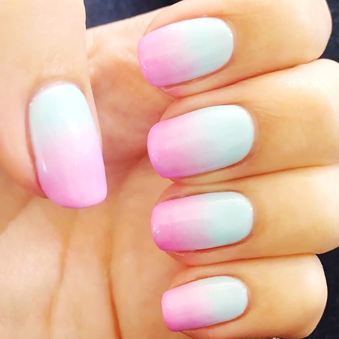 SILPECWEE 5Pcs Ombre Nail Brush Acrylic Nail Brush Set Nail Gradient Brushes Double Head Nail Art Sponges Pen Nail Art Tools Manicure Accessories