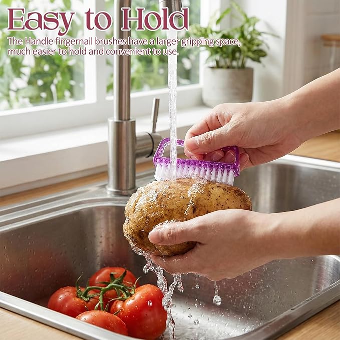 EBOOT 4 Pieces Handle Plastic Nail Brush Nail Hand Scrubbing Cleaning Brush(Pink,Clear,Orange,Purple)