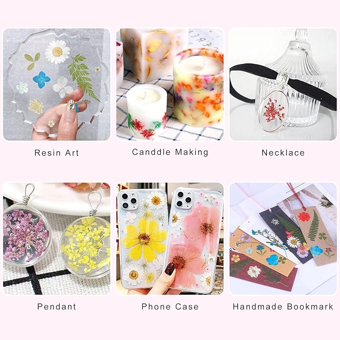 Dried Flowers for Resin Craft Nail Art Mix Small Mini Dry Flowers (Pack of 6 Boxes, About 260 PCS)