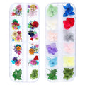 86 Pcs Dried Flowers Nail Art 51 Colors 3D Dry Flowers for Nails 2 Boxes Small Tiny Dried Flowers for Nail Art Little Pressed Real Natural Flower Nail Art Design Decoration Supplies