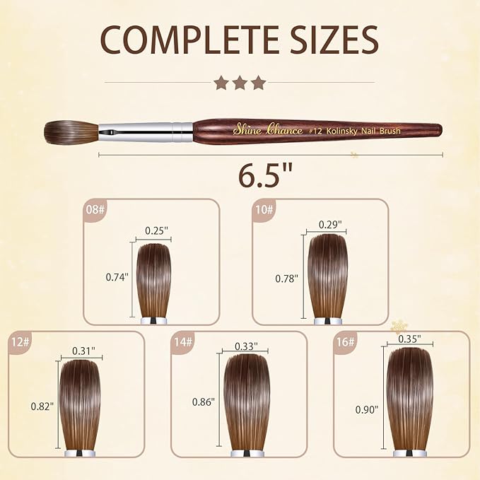 Acrylic Nail Art Brush Size 12, 100% Pure Kolinsky Hair Oval Nail Brush for Acrylic Application, Professional Nail Extension Manicure Tool Striping Nail Drawing Pen for DIY Home