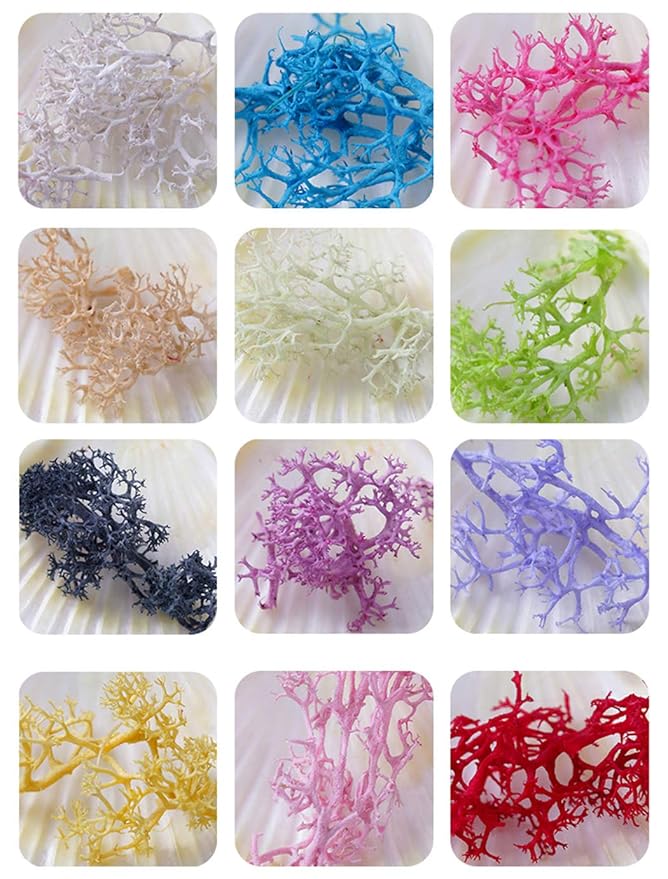 Nail Dry Flower Manicure Sticker 3D Decoration 2PCS(Five petals flower,Coral flower)