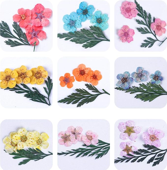 Nail Dry Flower Manicure Sticker 3D Decoration 2PCS(Five petals flower,Coral flower)