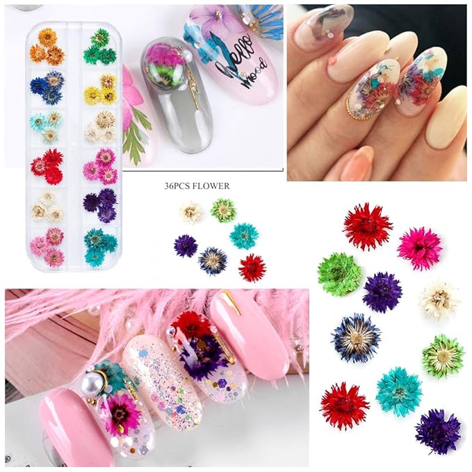 Natural Dried Flowers for Nail Art DIY Resin Craft Small 3D Pressed Dry Flower Resin Art Craft Supplies Nail Art Design Decoration Accessories