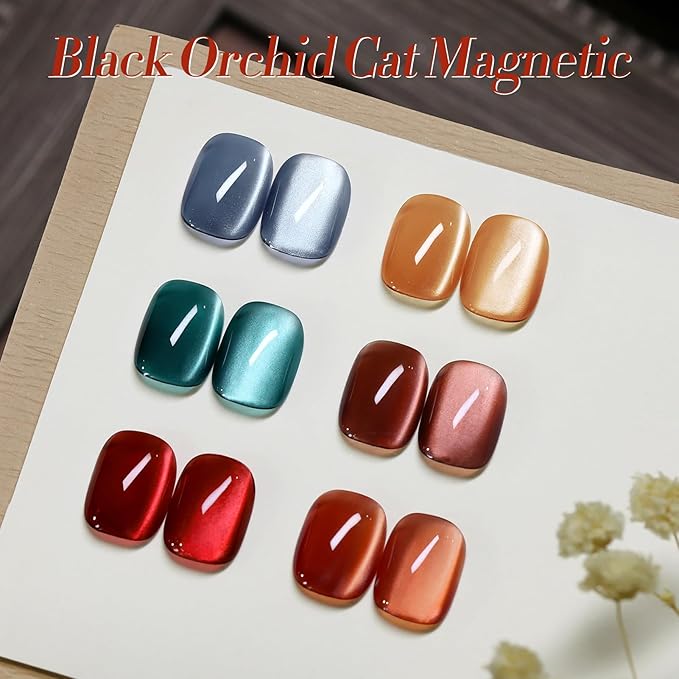 Born Pretty Magnetic Gel Nail Polish Water Light Cat Magnetic Eye Gel Black Orchid Jelly Glass Crystal Nail Polish Glitter Shimmer Auroras Nail Art Manicure Kit 6PCS