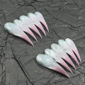 Long Polished Press On Nails Detachable Reusable Fake Nail Eagle Cat Dragon Claw With Gel Glue