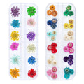 Natural Dried Flowers for Nail Art DIY Resin Craft Small 3D Pressed Dry Flower Resin Art Craft Supplies Nail Art Design Decoration Accessories