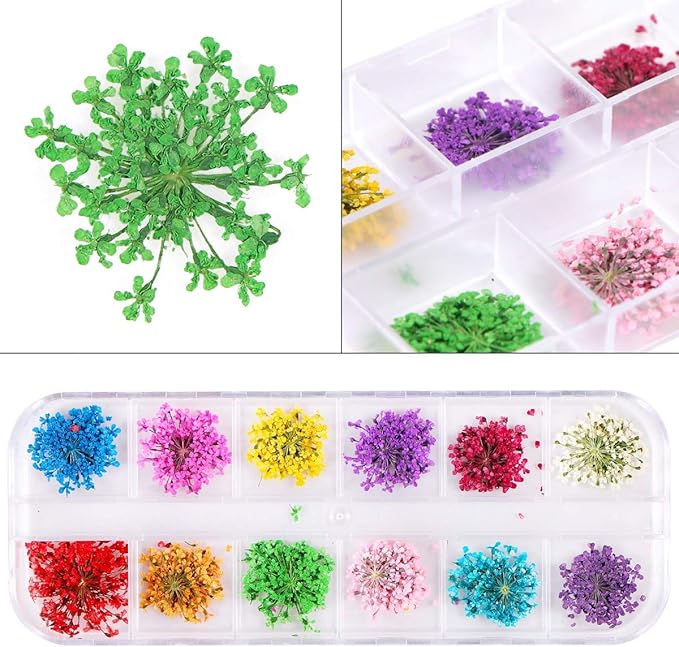 2 Boxes Nail Art Dried Flowers,UNIME 24 Colors Mini Real Natural Flowers Nail Art Supplies 3D Applique Nail Decoration Sticker for Tips Manicure Decor Accessories,Gypsophila