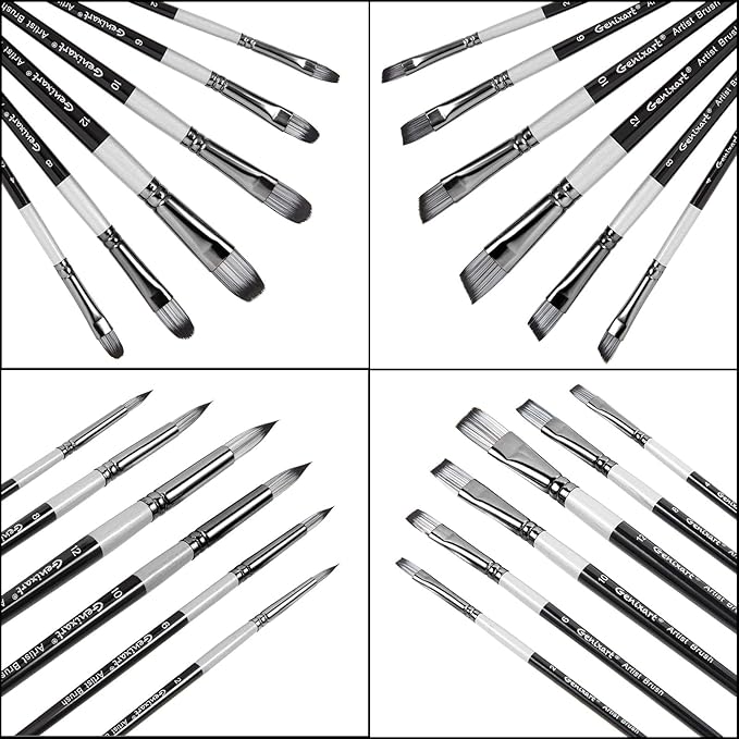 24 Pcs Paint Brush Set, Artist Paintbrushes for Acrylic Oil Watercolor Painting, Premium Nylon Hair Art Paint Brushes 4 Type of Shapes in Different Sizes Assorted