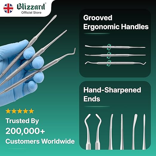Ingrown Toenail File Set by Blizzard – 3 Piece Double-Ended Tool Kit with Blacks File, Nail Cleaner and Lifter for Cleaning and Care of Ingrown Toenails - Premium Stainless Steel
