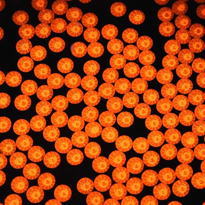 Blinginbox Flatback Rhinestones Round Gems, 1440pcs Luminous Series Glass Stones Neon Gems Non Hotfix Crystal Rhinestones for Nail Charms Crafts Clothes Tumblers,Mac. Tangerine Luminous,SS20.