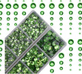 4000pcs Mixed Size Hot Fix Round Crystals Gems Glass Stones Hotfix Flat Back Rhinestones (Peridot)