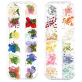Dried Flowers for Resin Nail Art 3D Small Tiny Real Natural Mini Pressed Dry Flowers for Nails DIY Crafting Decoration Supplies (2 Boxes, 180 Pcs, 37 Colors)