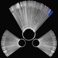 150 PCS Tips Clear Nail Art Sticks, Fan-shaped Nail Display Sticks, Oval Nail Art Polish Board Display Stickswith Metal Ring for Nail Color Display Practice Home DIY