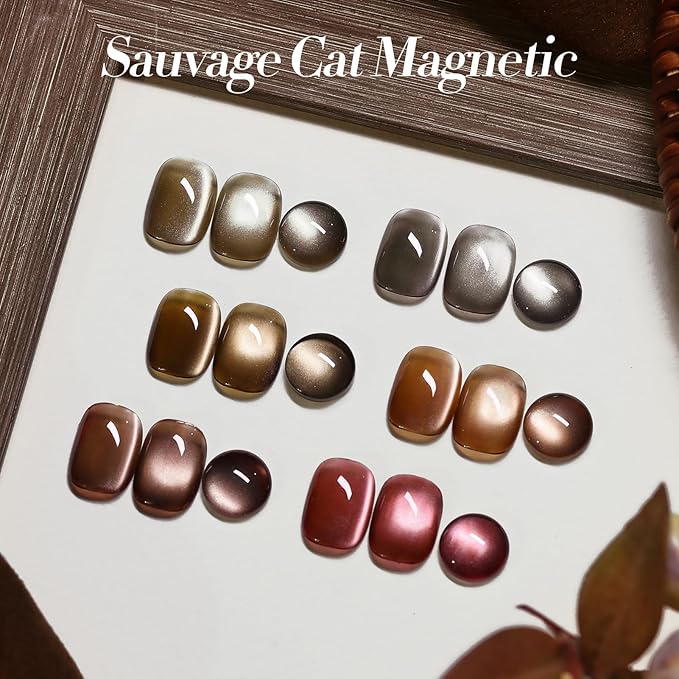 Born Pretty Magnetic Gel Nail Polish Water Light Cat Magnetic Eye Gel Brown SaU Vage Jelly Glass Crystal Magnetic Gel Polish Glitter Shimmer Auroras Magnetic Gel Nail Art Manicure Kit 6PCS