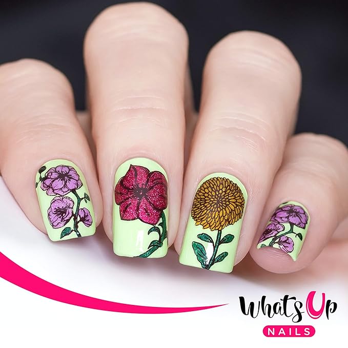 Whats Up Nails - Floral Stamping Plates 2 pack (B018, B046) for Nail Art Design